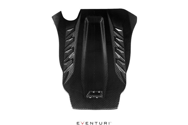 Eventuri Ansaugsystem für BMW F95 X5M / X6M und G09 XM