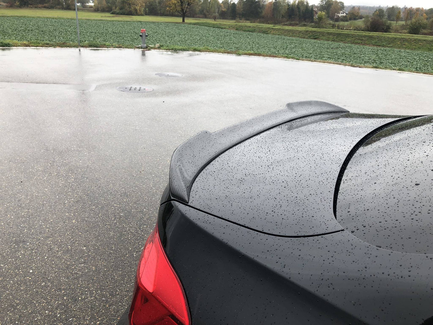 Carbon - BMW M3 F80 / F30 C-Style Spoiler