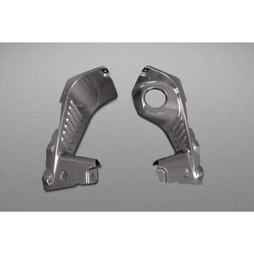 Capristo Carbon Motorverkleidung für Ferrari 458 Spider