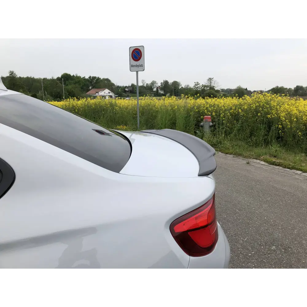 Carbon - BMW M2 M-Style Spoiler F87 & Competition & F22