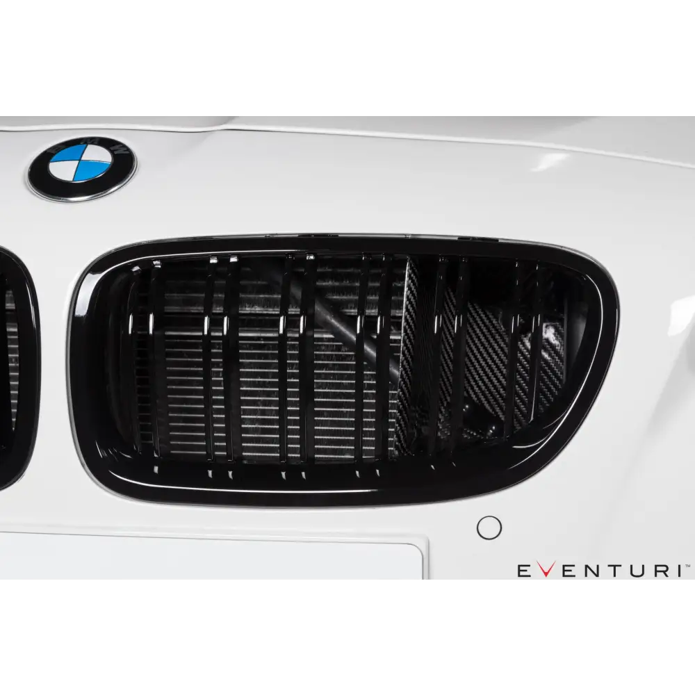 Eventuri Carbon Ansaugsystem für BMW F90 M5 und F92 M8 V2