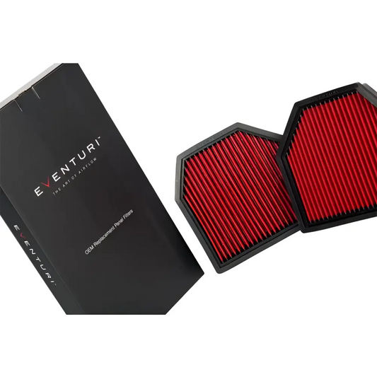 Eventuri Panel Filter Pair für BMW F8x M3 M4