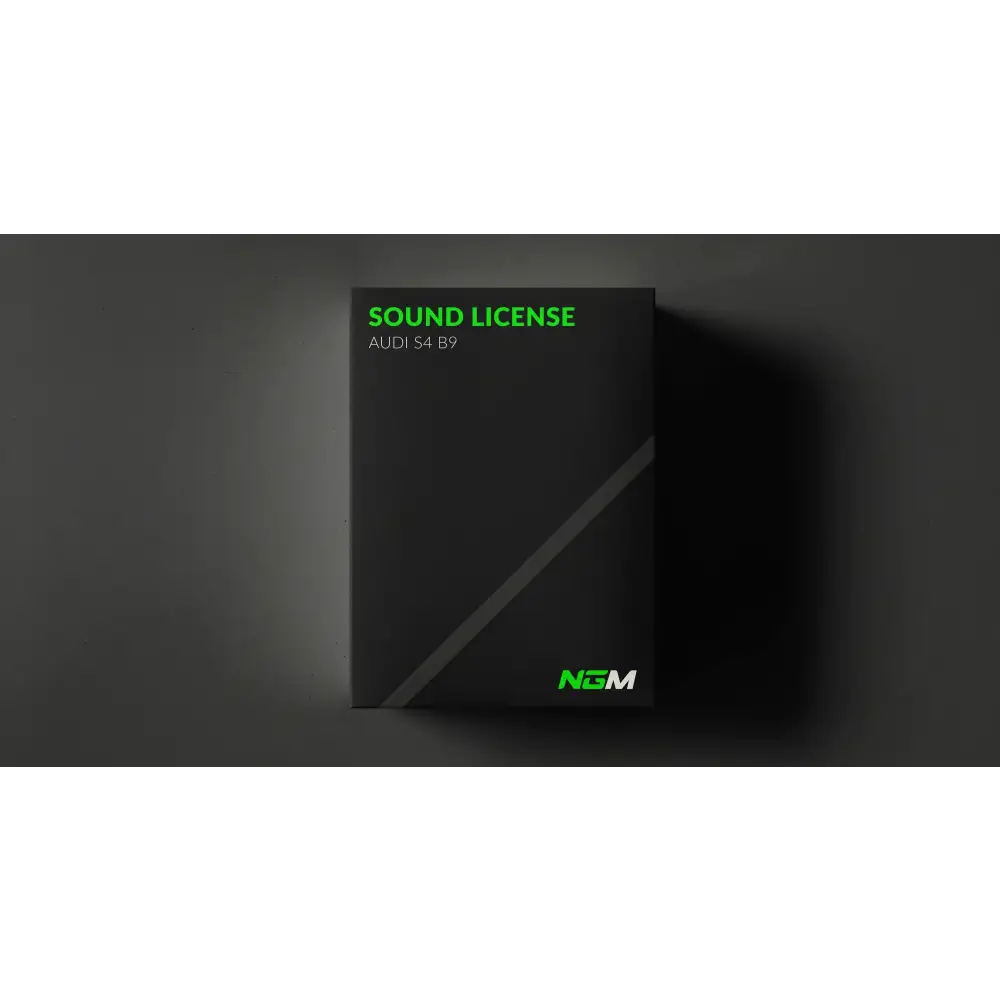 NGM - Audi S4 B9 | Sound License