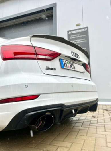 L-Performance - Audi RS3 8V Terrorline V2 Klappenauspuffanlage mit CH-Zulassung